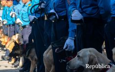 尼泊尔警方斥资290万卢比采购12只警犬