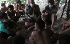 英媒：八成居民患“流感”，巴西一土著部落引发疫情担忧