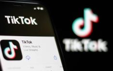 多国电商平台掘金越南市场，TikTok已成当地第二大电商平台