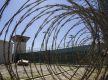 美媒：美国主播五访关塔那摩，其中一些囚犯“也许根本就不应被关进来”
