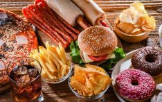 英媒：垃圾食品与癌症有关联