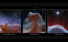 韦伯太空望远镜拍摄到清晰的马头星云图像