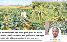 परिश्रमी हातहरू