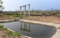 निकुञ्जमा त्रियासी वटा कृत्रिम पोखरी निर्माण