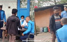 लापसे गरेर गाडी चलाउने ६ जना ड्राइभर नियन्त्रणमा