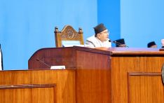 प्रतिनिधि सभाबाट राष्ट्रपतिलाई धन्यवाद दिने प्रस्ताव पारित