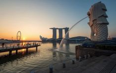 新加坡当局逮捕159名毒犯