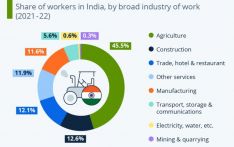 印度就业人数最多的行业正在受什么影响？