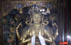 आज  २५६८ औँ बुद्ध जयन्ती विश्वभर धुमधामसँग मनाईंदै
