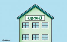 सहकारीलाई नियमन गर्न प्रभावकारी संयन्त्र जरुरी