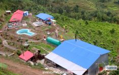 भोजपुरको एक मात्र गरस चिया उद्योग