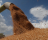 美媒：俄罗斯对关键粮食市场的控制力增强