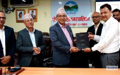 ३८ प्रजातिका दुई लाख बिरुवा रोप्दै पोखरा महानगर
