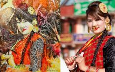राष्ट्रिय ललितकला प्रदर्शनीमा सिर्जना चोरीको आरोप
