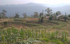 टाकुरामा पानीपोखरी : सुक्खा पाखोबारी भयो हराभरा