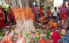 मिथिलाञ्चलमा वटसावित्री पर्व मनाइँदै