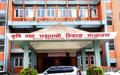 कृषियोग्य जमिनमा सिँचाइ पुर्‍याउने सरकारको लक्ष्य