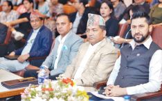 Efforts underway to resolve complexities in citizenship: DPM Lamichhane