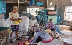 गाउँमै कागज उद्योग सञ्चालनले रोजगारी र सीप सिक्दै स्थानीय