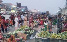 ब्रान्डिङ गरिँदै लहानको आँप