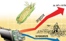 ३६ अर्ब अनुदान, १ खर्बको आयात