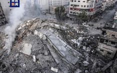 加沙卫生部门：本轮巴以冲突已致加沙超3.73万人死亡