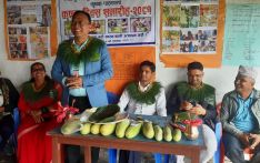 अतिथिलाई काँक्रा उपहार, गलामा दुबोको माला