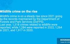 Wildlife crime on the rise
