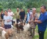 इलामका ग्रामीण किसानलाई उन्नत जातका बाख्रा वितरण