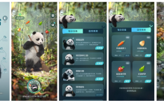 能聊天、懂科普 全球首只全真大熊猫入驻QQ浏览器