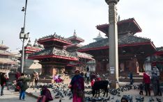 尼泊尔地震受损文化遗产修复：漫长道路上的希望与挑战