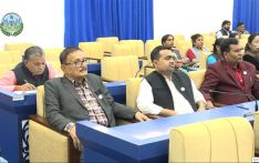 मुलुकमै पहिलो बालिका संरक्षण विधेयक पारित