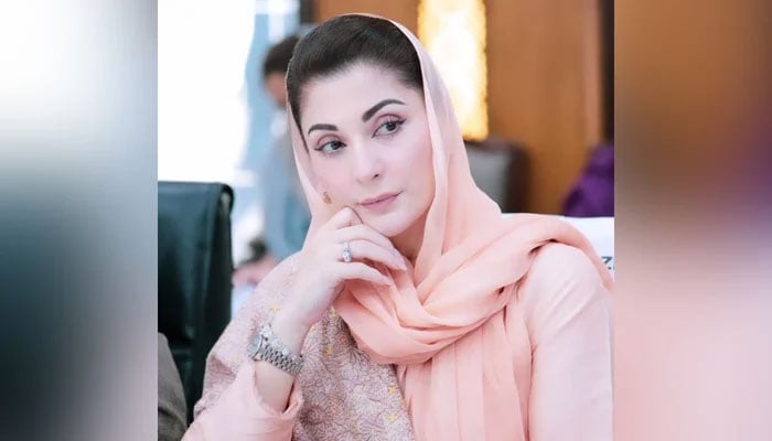 Chief Minister Punjab Maryam Nawaz seen in this image from December 19, 2023. —Facebook/Maryam Nawaz Sharif