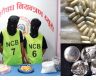 Illicit drug use in Nepal up by 5%