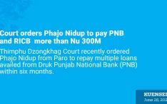 Court orders Phajo Nidup to pay PNB and RICB more than Nu 300M