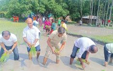 सुनसरीका स्थानीय तहमा धान दिवस मनाइयो