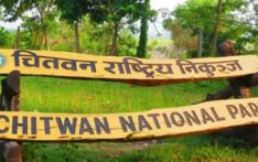 चितवन राष्ट्रिय निकुञ्जमा आजदेखि पर्यटकीय गतिविधि बन्द