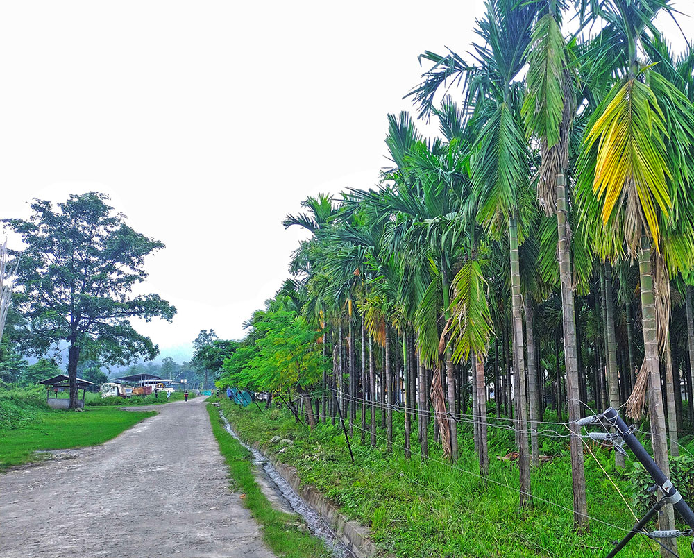 samrang