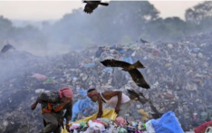 对于印度的垃圾拾荒者来说，极端高温使这份工作变得更加痛苦和危险