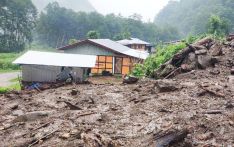 Landslide kills two Jersey cows in Chhudzom
