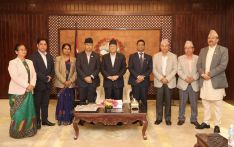 尼泊尔共产党（马列）八名部长集体辞职