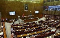 Senate passes bill on state enterprises