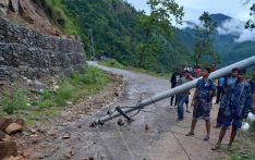 अछाममा रुख ढल्दा विद्युत अवरुद्ध
