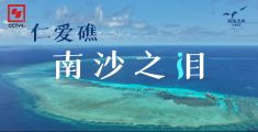 First Ren 'ai Jiao ecological survey documentary: Teardrop of the Nansha Island