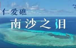 First Ren 'ai Jiao ecological survey documentary: Teardrop of the Nansha Island