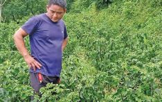 गाउँ फर्केकालाई सामाजिकीकरण गर्दै सूर्योदय