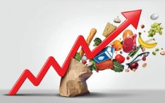 Inflation down to 4.2% from 6.8% last year
