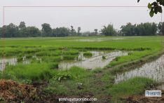 रेडक्रसको जग्गामा पूर्व अध्यक्षको रजाइँ
