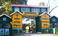 बर्दिया राष्ट्रिय निकुञ्ज आउने पर्यटक बढे