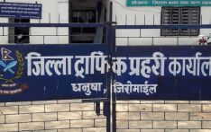 सवारी दुर्घटनामा कमी